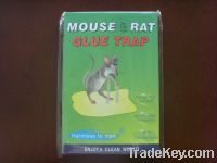 Sell sticky mouse glue trap or rat glue board(YS-8030)