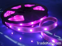 Sell LED soft Flexible Strip light