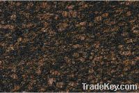Sell Tan Brown Granite Slabs