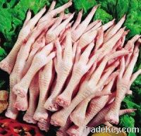 Export Chicken Paw | Chicken Feet Suppliers | Poultry Feet Exporters | Chicken Feets Traders | Processed Chicken Paw Buyers | Frozen Poultry Paw Wholesalers | Low Price Freeze Chicken Paw | Best Buy Chicken Paw | Buy Chicken Paw | Import Chicken Paw | Chi