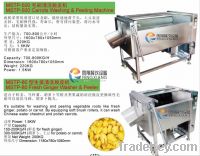 MSTP-1000 carrot washing and peeling machine, potato peeling machine