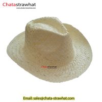 Sell Straw hats cap