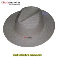 Sell Natural straw hat