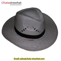 Sell Palm straw hat