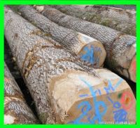 Sell EUROPEAN WHITE ASH LOGS