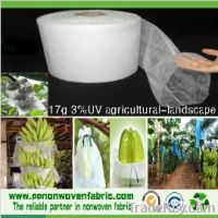 Sell UV resistance non woven polypropylene fabric