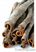 Cinnamon from Vietnam