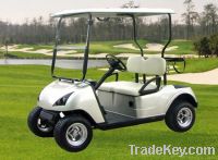 Sell 2 seats golf carts