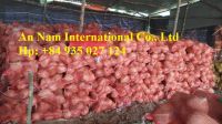 Sell Coconut fiber  - whatsApp: +84935027124