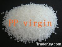 Sell  VIRGIN OR RECYCLED PP/ POLYPROPYLENE/WIN