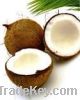 RFQ - Fresh Coconuts