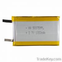 Sell Lithium Polymer Battery