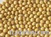 Sell Soybean