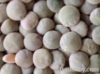 Sell Green Lentil Seeds