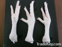  Export Chicken Paw | Chicken Feet Suppliers | Poultry Feet Exporters | Chicken Feets Traders | Processed Chicken Paw Buyers | Frozen Poultry Paw Wholesalers | Low Price Freeze Chicken Paw | Best Buy Chicken Paw | Buy Chicken Paw | Import Chicken Paw | Ch