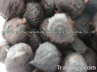 Sell peeled black garlic