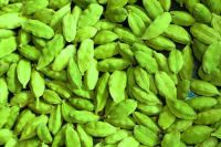 Green Cardamom Dried Cardamom Grade A Quality