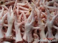 Export Chicken Paw | Chicken Feet Suppliers | Poultry Feet Exporters | Chicken Feets Traders | Processed Chicken Paw Buyers | Frozen Poultry Paw Wholesalers | Low Price Freeze Chicken Paw | Best Buy Chicken Paw | Buy Chicken Paw | Import Chicken Paw | Chi