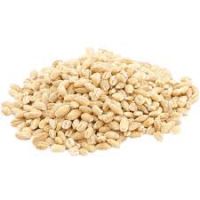 barley