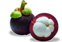 mangosteen