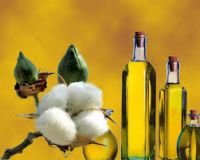 cotton seed  oil