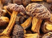 dried mushrooms