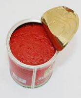 tomato paste