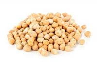 chickpea