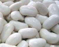 white kidney beans