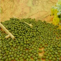 Green Mung Beans, Dal, Mung Dal, 
