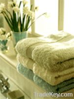 Sell 100% cotton satin towel