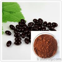 Sell 95% OPC Grape Seed Extract Powder