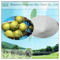 Sell Certified ISO 9001 Saw Palmetto Fruit Extract Powder