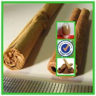 herbal medicine 4:1/10:1/20:1 Cinnamon Bark Extract