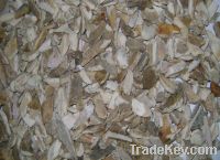 Supply of Crushed Bone from Dhaka, Bangladesh (For Gelatin Manufacturi