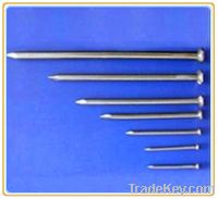 Sell Round Wire Nails