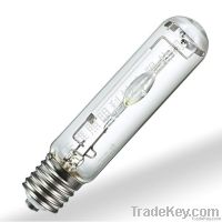 Sell Street Lighting Xenon Bulb