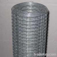 Welded Wire Mesh (real factory)