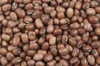 Vigna beans