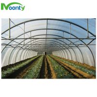 Economical Agricultural Tunnel Greenhouse