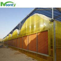 Cooling Pad&Fan System for Agricultural Greenhouse Popular in Middle East