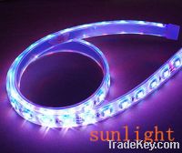 Sell Silicon Gel LED Strips(SUN-SG50P060-12YEA)