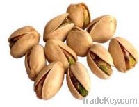 Premium quality pistachios from Peloponese Greece