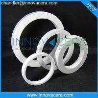 Zirconia/Alumina/Ceramic Sealing Ring/Ceramic Mechanical Seals