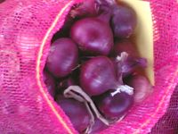 Sell Egyptian Red Onions