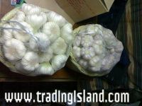 Sell  GARLIC FRESH AND DRY WWW.TRADINGISLAND.COM