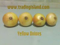 Sell YELLOW ONIONS AND RED ONIONS *****