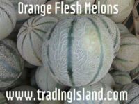 Sell Melons& watermelons xxxxx