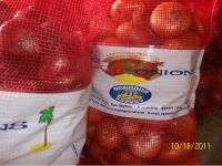 Sell Onions Red & Yellow  Global G.A.P Cert