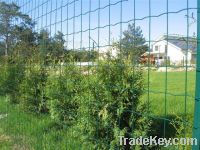 Sell Holland fence